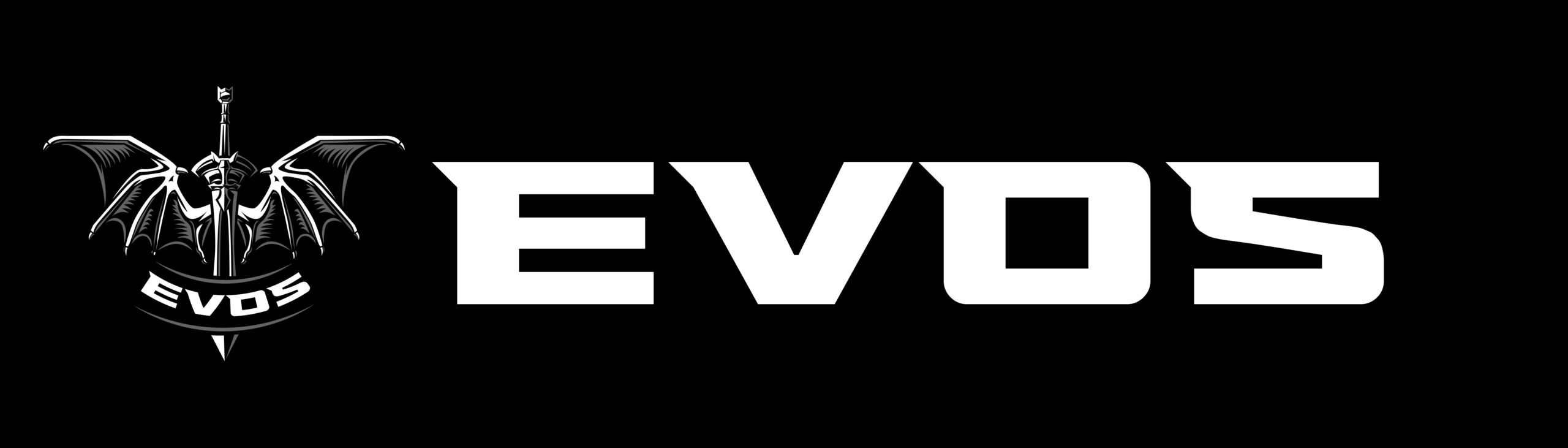 Evos Services Ltd.